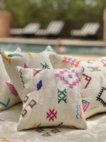 Neon Picnic Cushions